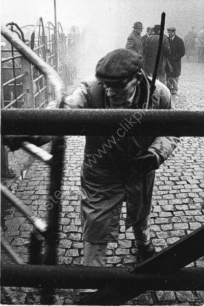 Newark Cattle Market